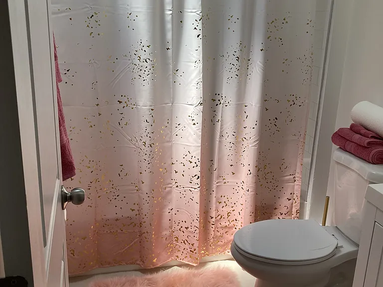 Guest bathroom.