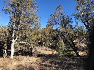 54443 Thunderbird Ln, Seligman, AZ 86337