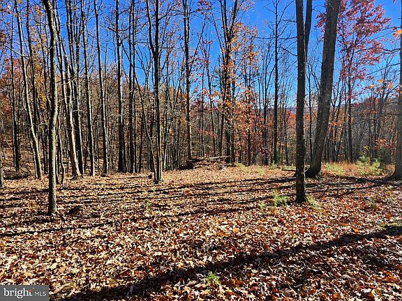 2nd image of 176 Rendezvous Rd