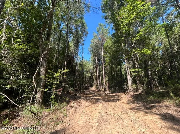 Chisholm Dr SW, Summit, MS 39666
