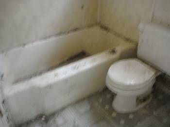 4th image of 180 Stuyvesant Ave
