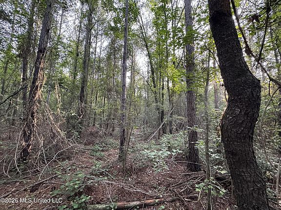 3rd image of N Lot 2 River Rd Lot 2