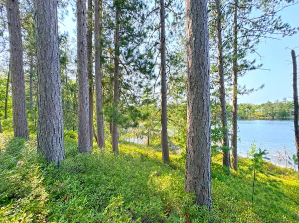 24120 W Rath Row, Eckerman, MI 49728