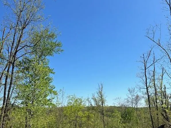 43 Wilson Ridge Rd, Wilder, TN 38589