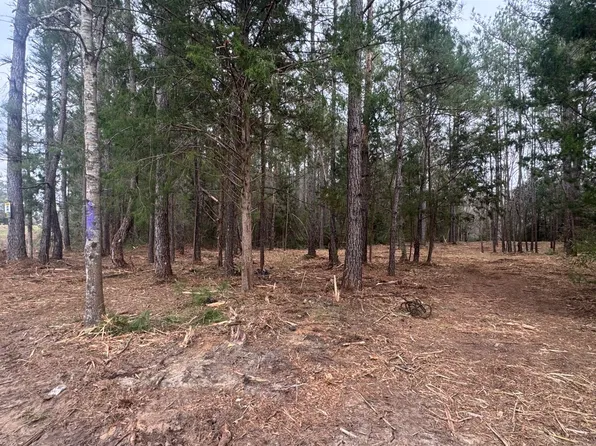 0 County Road 134, Daleville, AL 36322