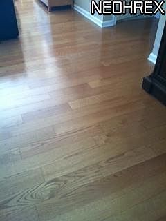5th image of 1003 Cutters Creek Dr