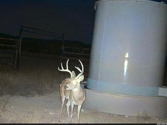 5th image of 16 Lewis Rd LOT 10260