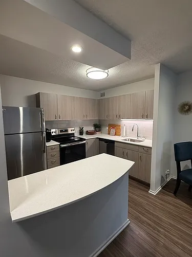1135 N Dearborn St #402 Photo 1