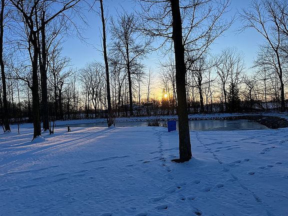 Pond in the Winter Time