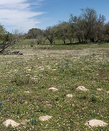 4th image of 10819 W Fm 476