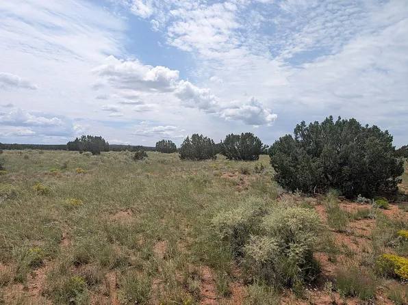 4325 Zeniff Rd, Heber, AZ 85928