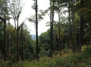 753 Hanging Rock Rd, Mars Hill, NC 28754