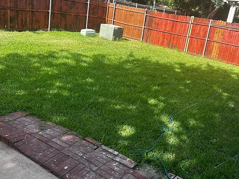 12637 Black Cherry Ln — Photo 20