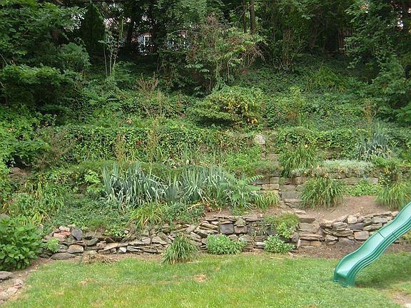 Tranquil Back Yard