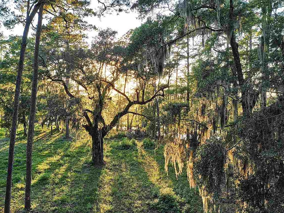1st image of Lot 10 Cabaniss Ln.