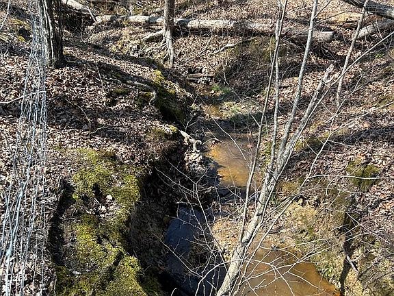 2nd image of 0 Wightman Rd