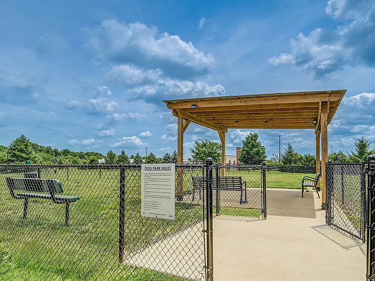 Dog Park