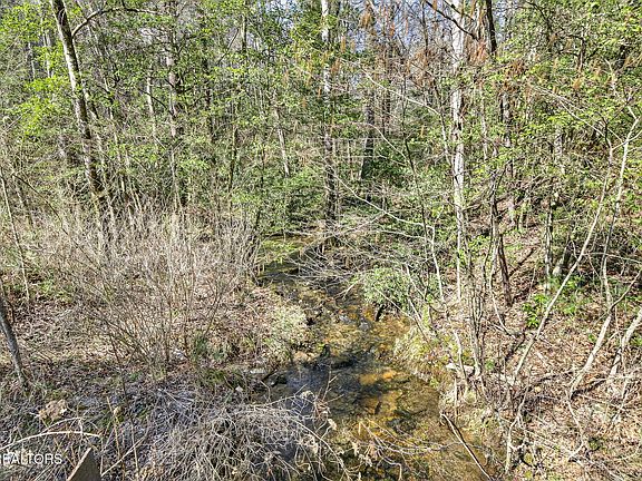 2nd image of Dogwood Rd