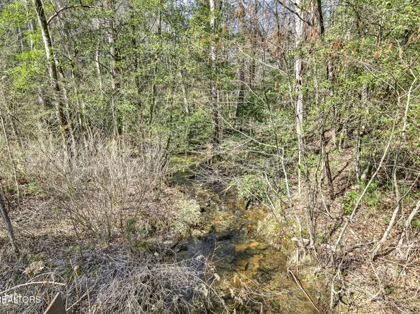 Dogwood Rd, Grandview, TN 37337
