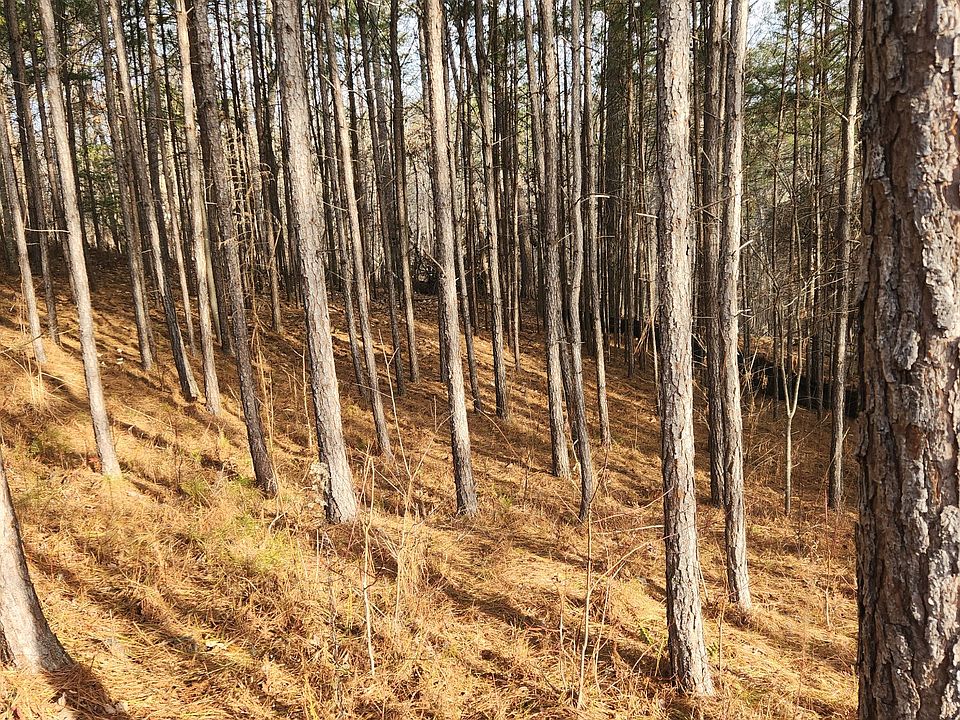 1st image of 912 Whistler Ln Lot 72