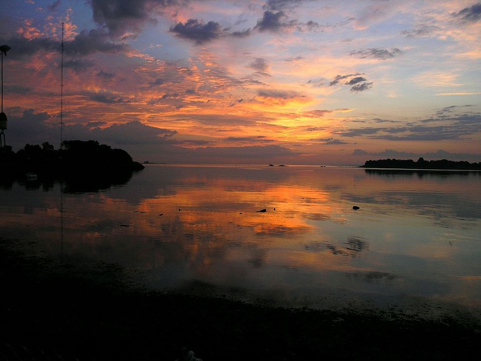 Sunrise viewed from backyard