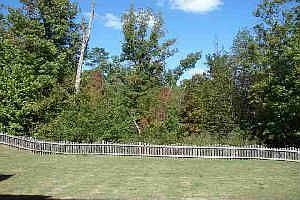 Backyard With Fence