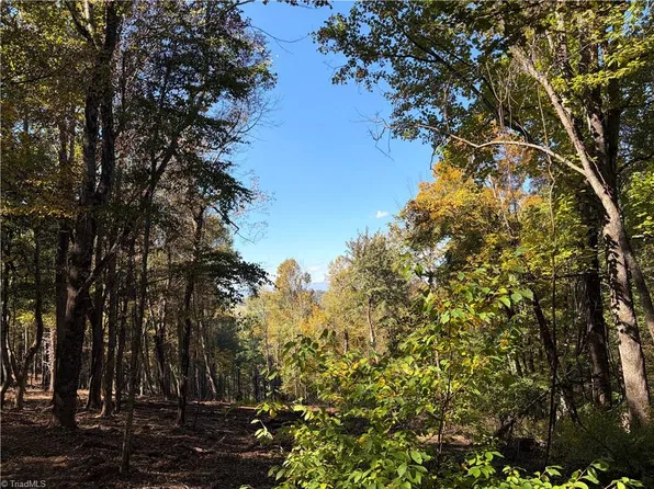 LOT Seven New Hope Church Rd, Laurel Springs, NC 28644