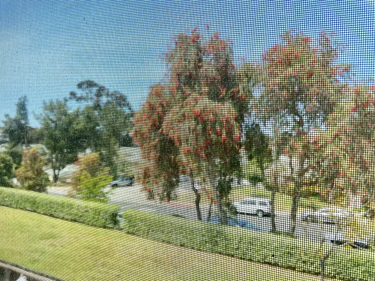 4441 Vision Dr — Photo 14