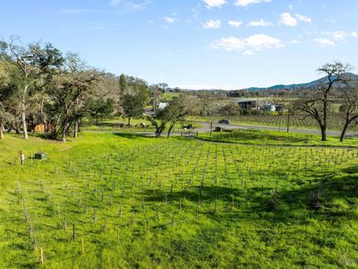 13 Bournemouth Road, Saint Helena, CA, 94574