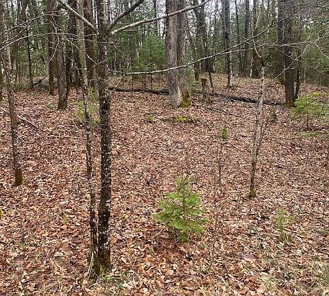 4th image of 0 Landon Rd