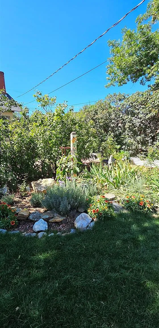 3 bed, 1.0 bath, 985 sqft, $1,785 — Photo 3