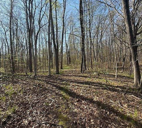 2nd image of 27 Mile Rd