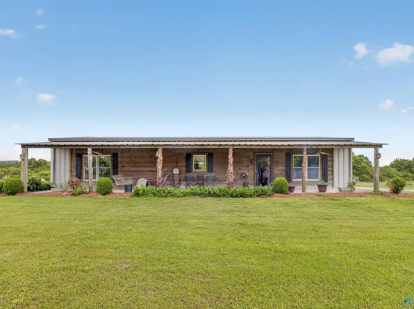 1074 Mount Carmel Rd, Altoona, AL 35952