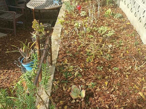 side yard