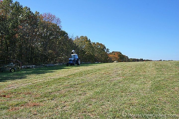 Acreage/Pasture