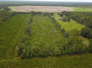 SW County Road 300, Mayo, FL 32066