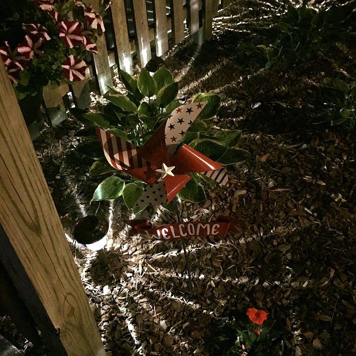 Night view of flowers.