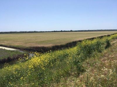 11100 Jefferson Blvd, Clarksburg, CA, 95612