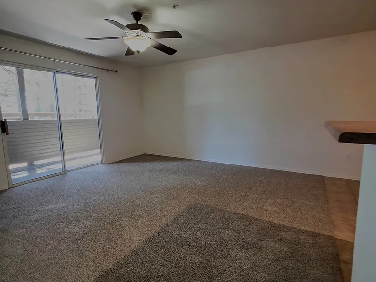 1185 W University Ave #13 — Photo 4