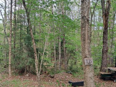 16 Aspen Lane, Danbury, NH, 03230