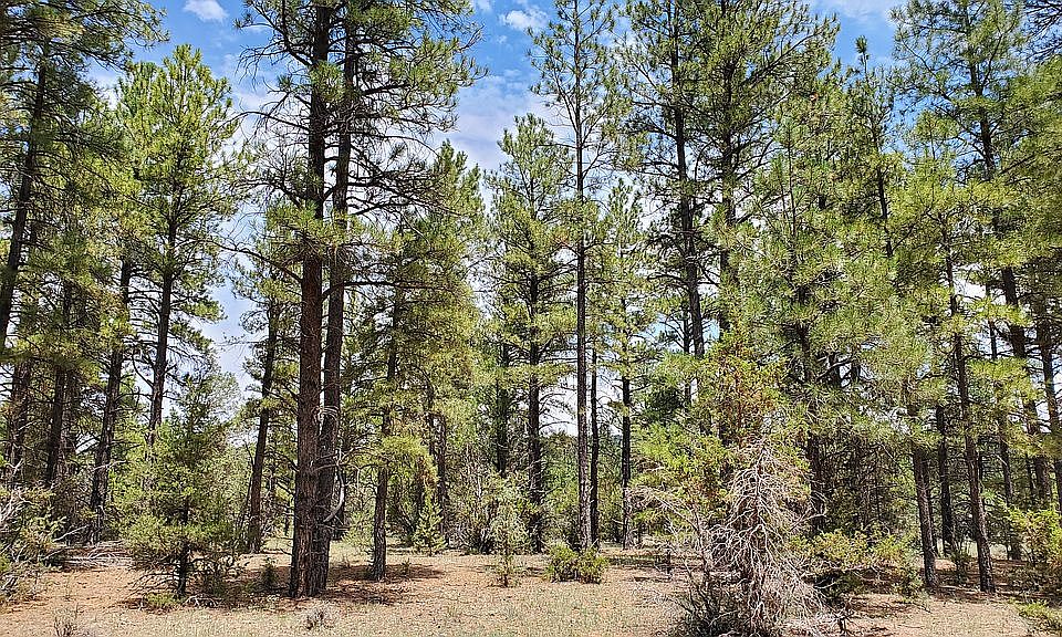 1st image of Cottonwood Dr Lot 6