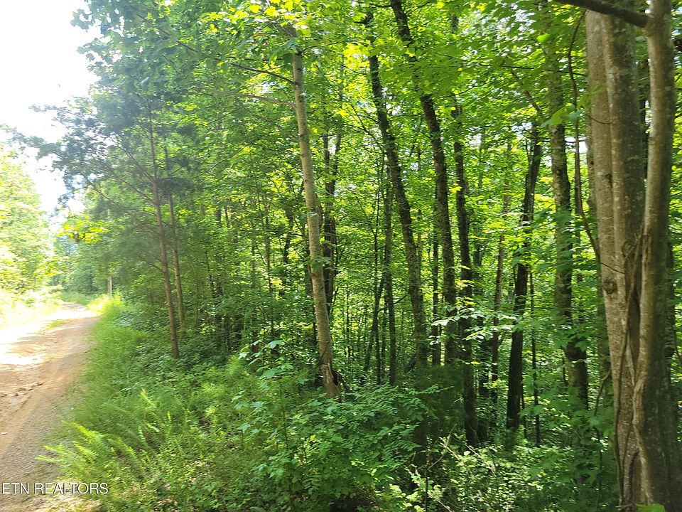1st image of 81 Buttonwood Dr Lot 81