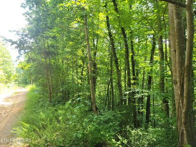 81 Buttonwood Dr Lot 81, Sevierville, TN, 37876