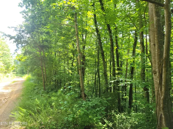 81 Buttonwood Dr Lot 81, Sevierville, TN 37876