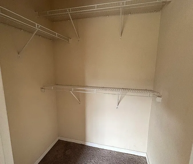 10213 Courtney Palms Blvd #303 — Photo 22
