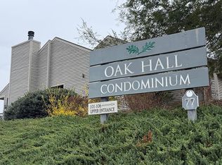 77 Chestnut St #305, Tryon, NC 28782