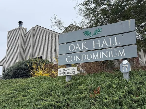 77 Chestnut St #305, Tryon, NC 28782