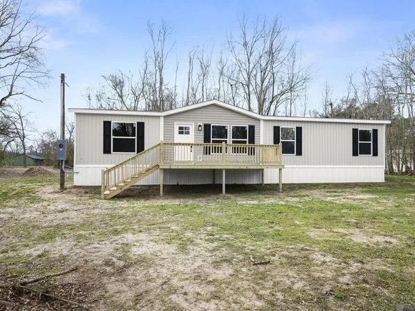 44089 Bill Richardson Rd, Saint Amant, LA 70774