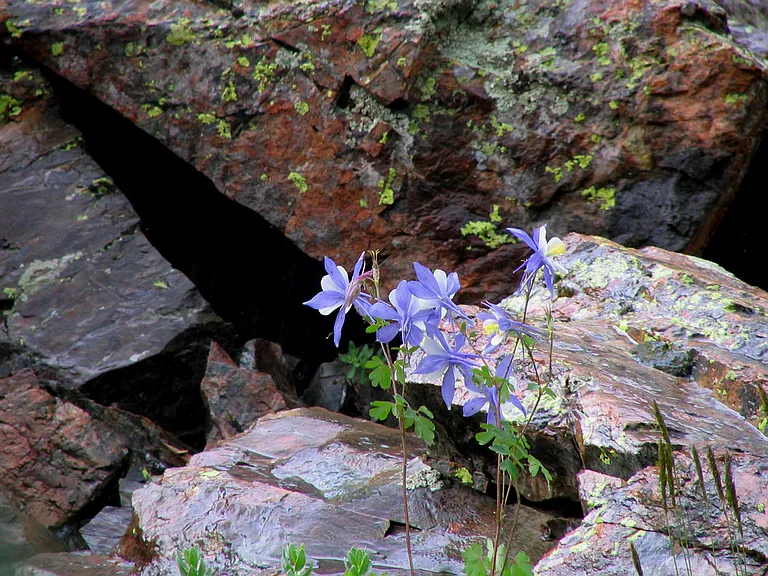 County Road 501 — Photo 27