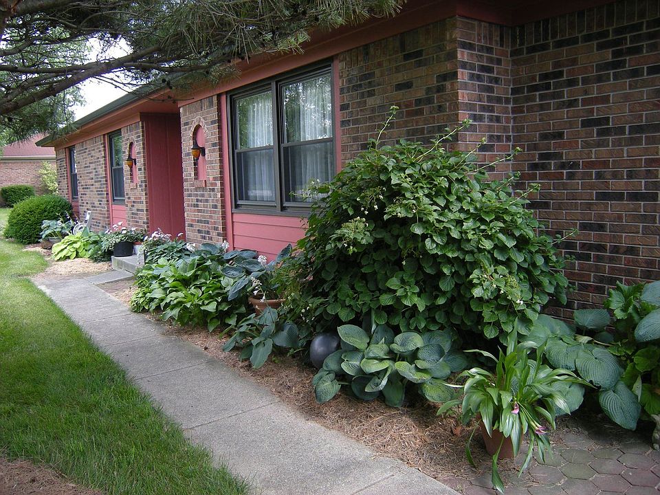 Lush perennials